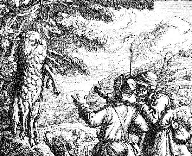 wolf_sheeps_clothing_barlow-cropped